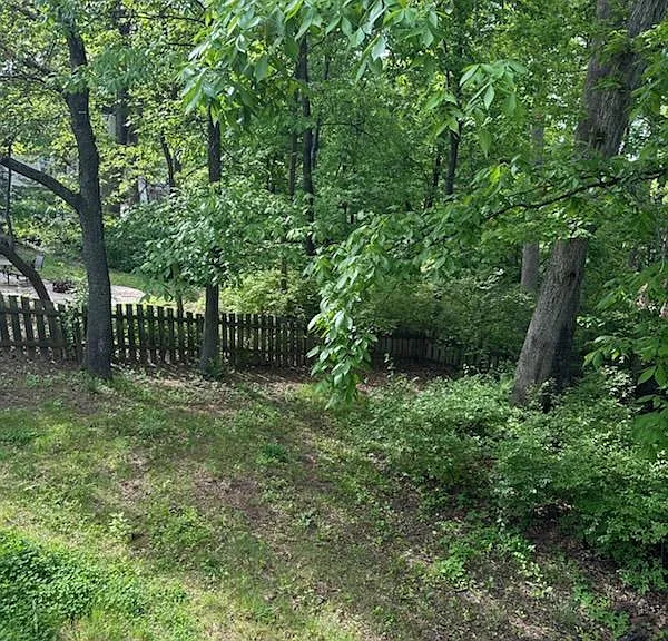 6 Whispering Rock Ct — Photo 13