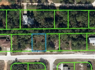 2950 W Downing Rd, Avon Park, FL 33825