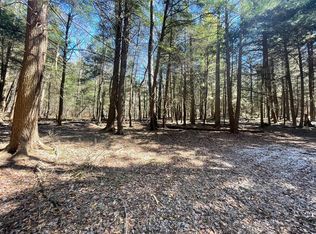 0 Hemlock Ln, Galeton, PA 16922