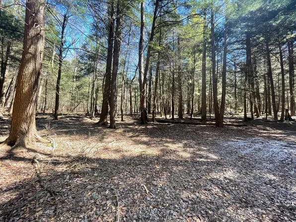 0 Hemlock Ln, Galeton, PA 16922