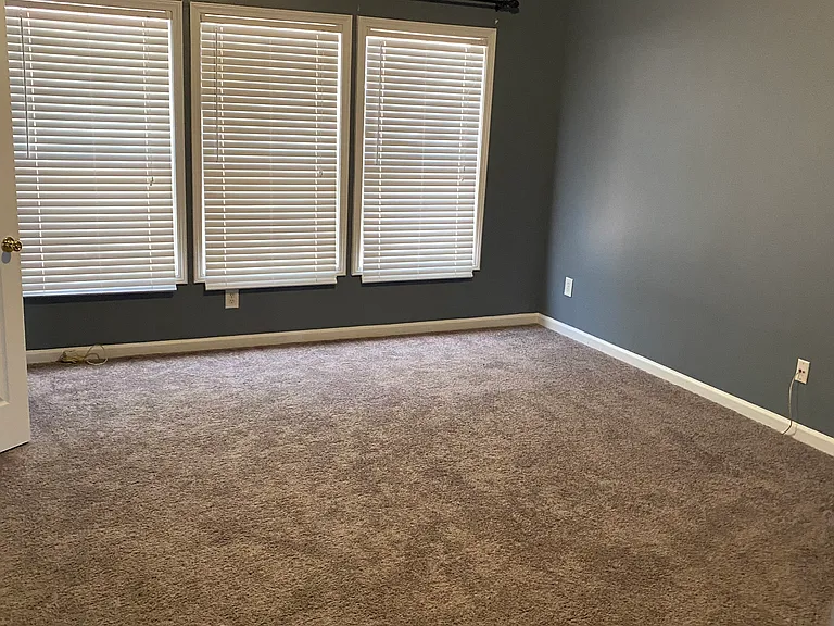 3930 Abernathy Farm Way — Photo 12