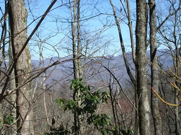 15 Mountain Mint Dr, Swannanoa, NC 28778