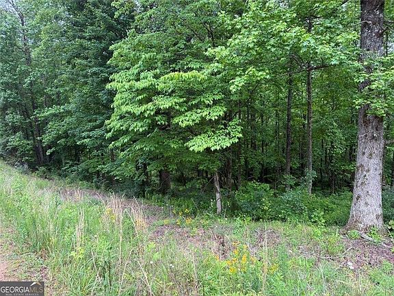 5th image of LOT 7D Meadow View Ln