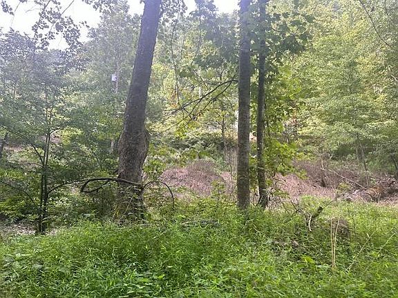 5th image of 494 Hoods Ln