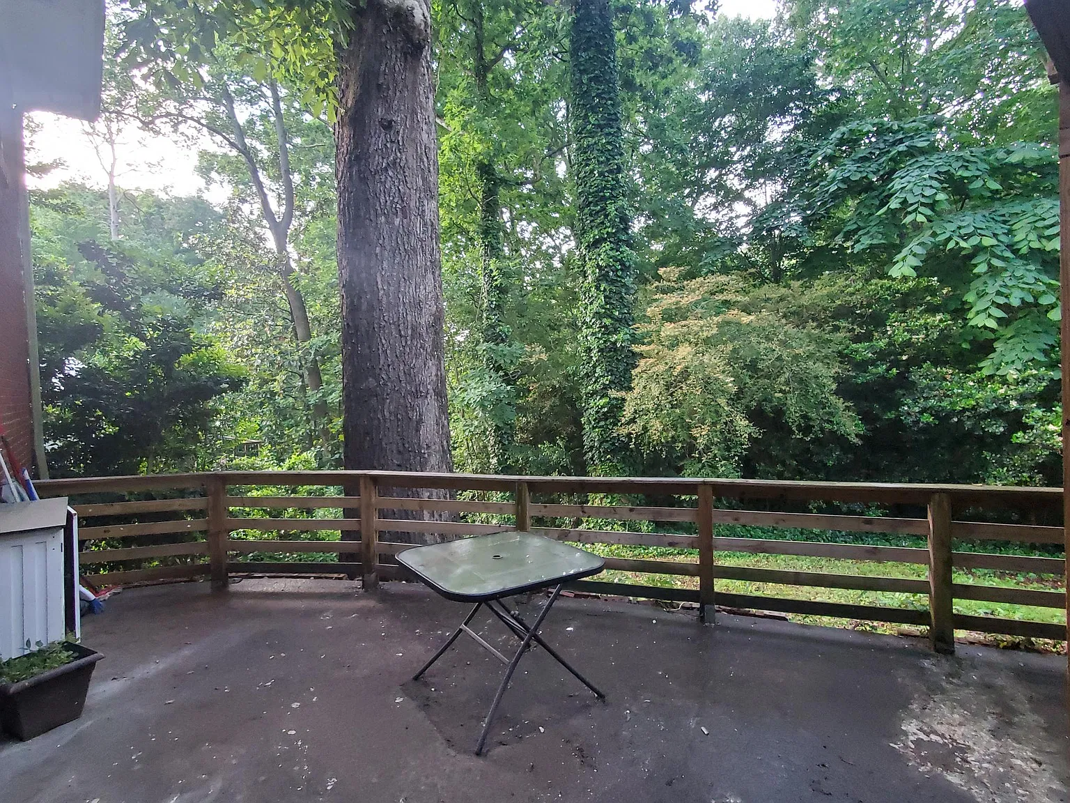 1100 Burton Dr — Photo 2