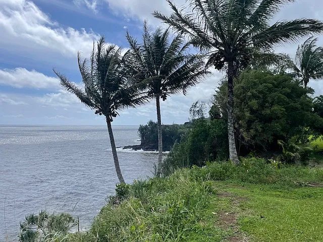 Hawaii Belt Rd, Hakalau — Photo 3