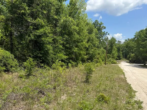 0 SW Redbud Gln, Fort White, FL 32038