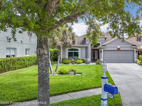 4207 Fishermans Lake Dr, Lutz, FL 33558