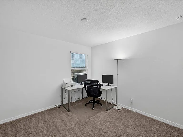 31903 Sapna Chime Dr — Photo 49
