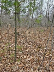 Lot 8 Lukes Lane, Danbury, WI, 54830