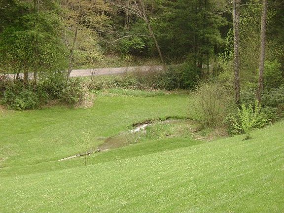 side yard