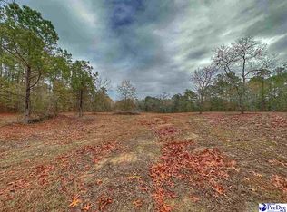 Van Dyke Rd, Dillon, SC 29536