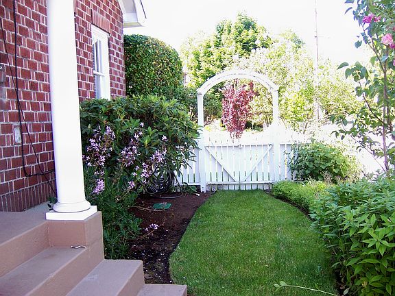 Left Side Yard