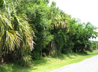 19 Cherrytree Ct, Palm Coast, FL 32137