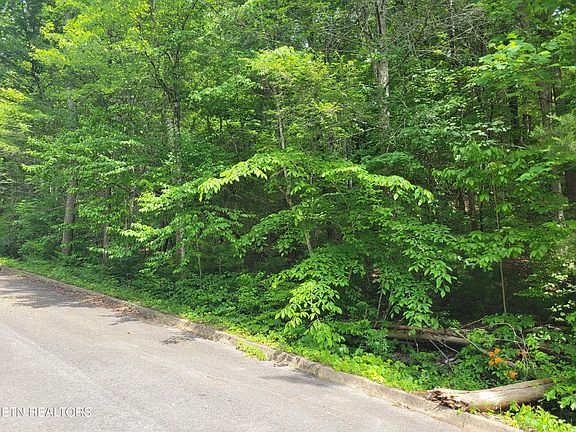 3rd image of LOT 14 Peace Ln