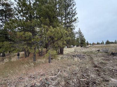210 Pine St, Roosevelt, WA, 99356