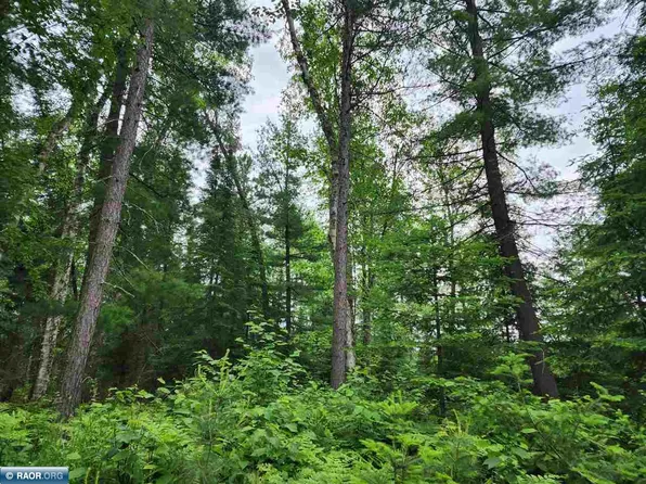 Tbd County Road 52, Bigfork, MN 56628