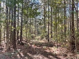 2nd image of LOT 3 Big Lake Rd