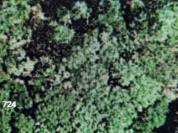 4th image of 724 E Malaga Ln