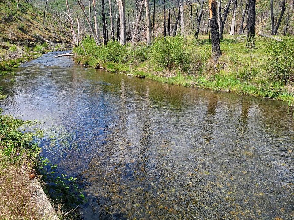 15884 Log Cabin Rd, French Gulch, CA 96033 Zillow