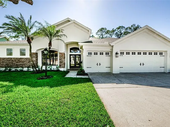 10319 Greenhedges Dr, Tampa, FL 33626