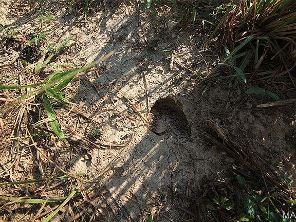 20th image of 0 Coldwater Crk #Creek_lot-2