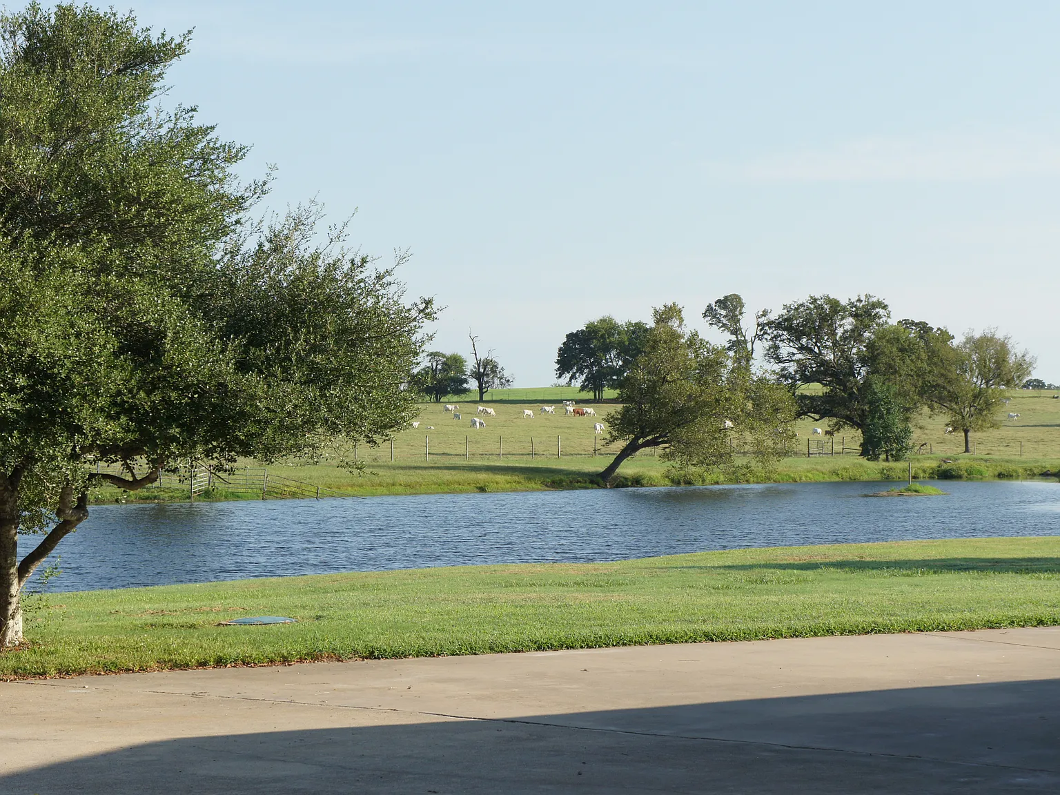 County Road 1103, Sulphur Springs — Photo 4