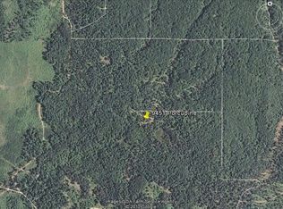 9451 Porcupine Trl, Grayling, MI 49738