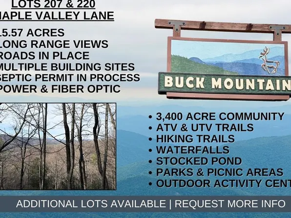 Lots 207 & 220 Maple Valley Ln, Purlear, NC 28665