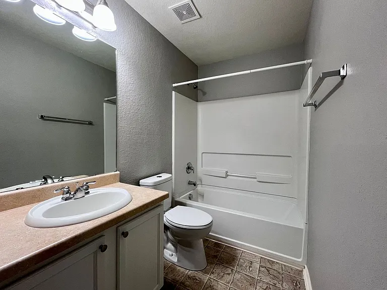 8734 Snow Goose — Photo 14