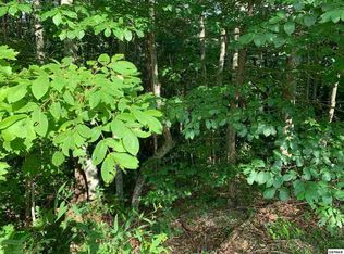 LOT 1 Chamberlain Ln, Sevierville, TN 37862