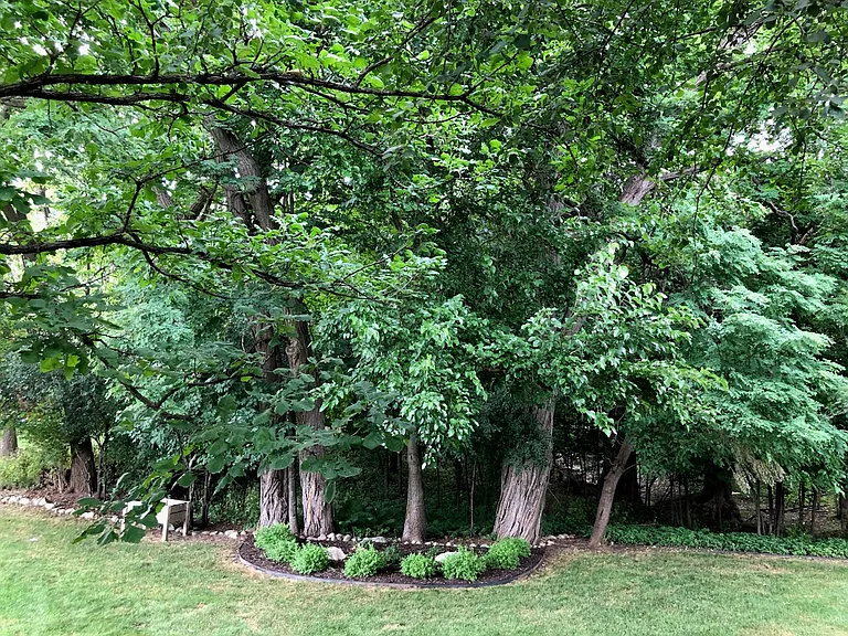 Oxford Ct — Photo 15
