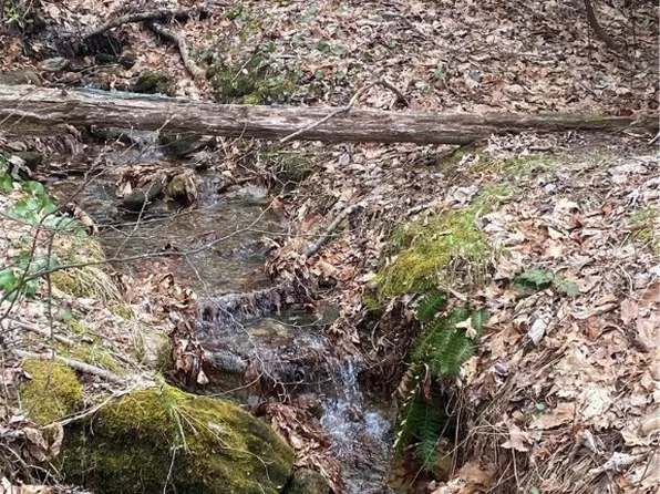 TBD Rocky Mountain Road, Sparta, NC 28675