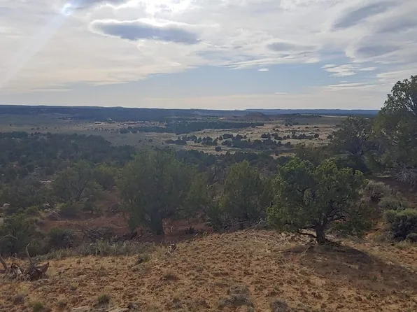 State Highway 595, Lindrith, NM 87029