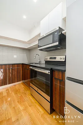 Rented by Brooklyn High Rise LLC | media 8
