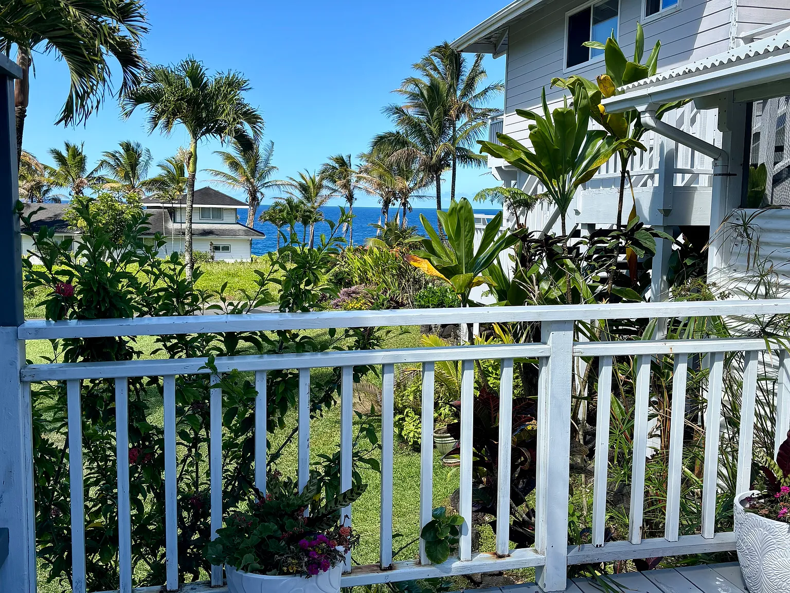 Studio, 519 sqft, $1,275 — Photo 1