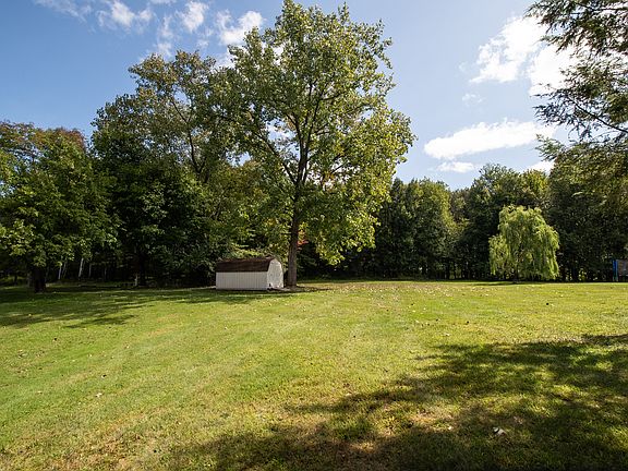 Shed in back yard