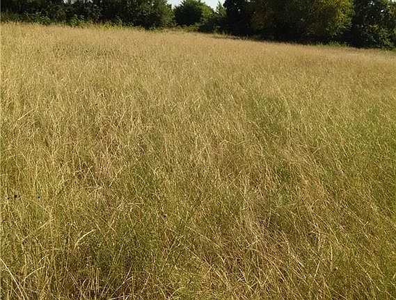 5th image of 3167 County Road 3406