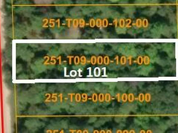 16253 Timberline Dr, Wolverine, MI 49799