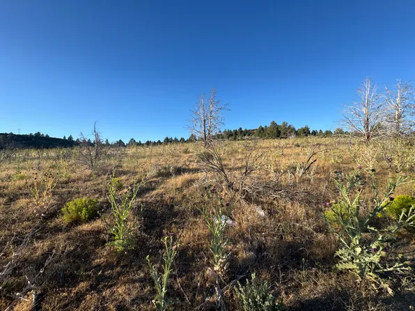 0 Curry St #112, Sprague River, OR 97639