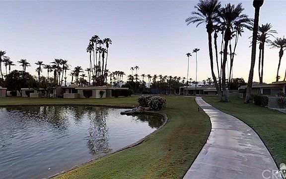 Tall mature palm trees border the Casa Dorado development.