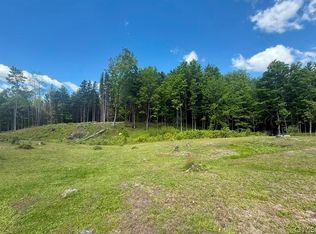 1055 Albion Cross Rd LOT 54, Pulaski, NY 13142