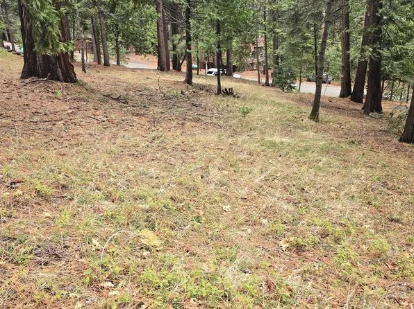 594 Dean Way, Arnold, CA 95223