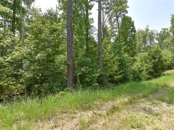 3 The Vines Blvd Lot 3, Marshall, NC 28753