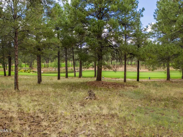1976 E Bare Oak Loop #235, Flagstaff, AZ 86005