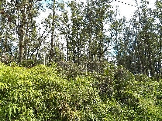 3rd image of Sugarcane Ln Lot 69