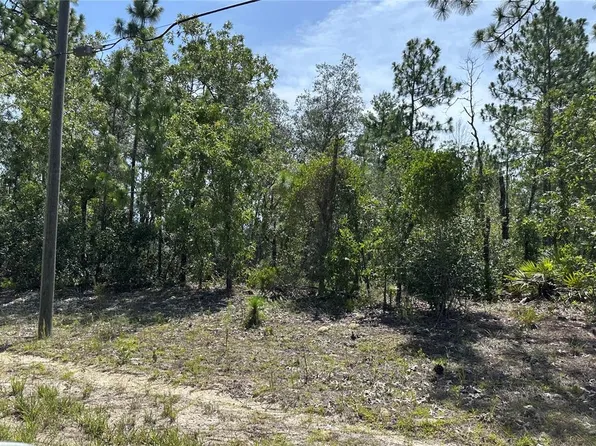 8893 N Lansen Way Lot 26, Dunnellon, FL 34433