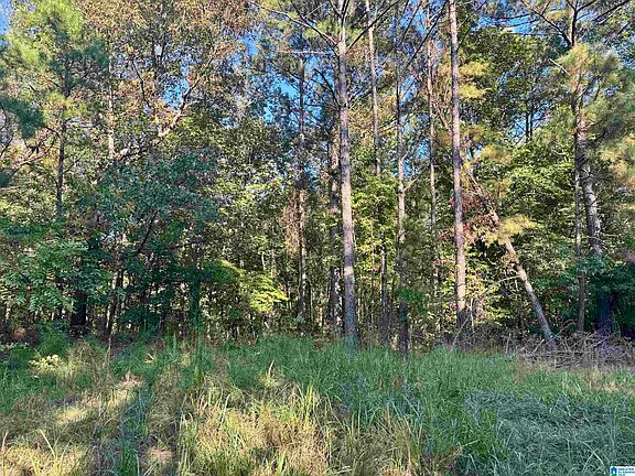 2nd image of Lane Branch Rd #19.28