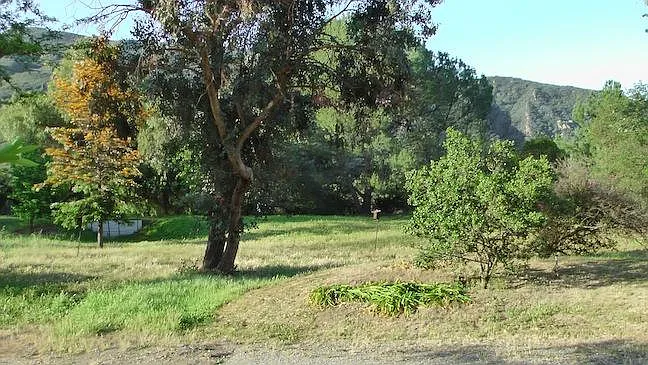 Front yard in the spring.