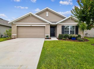 13168 Golden Lime Ave, Spring Hill, FL 34609